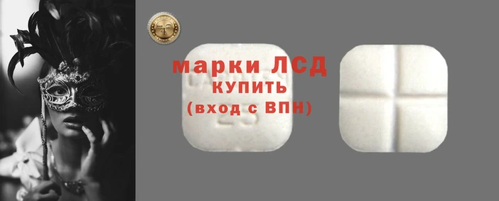 apvp Верея