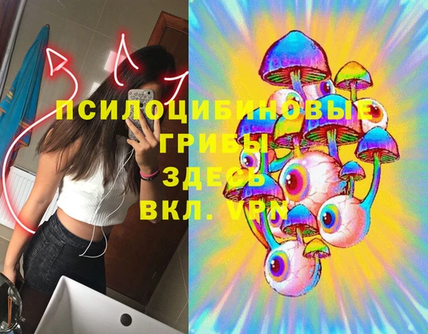apvp Верея