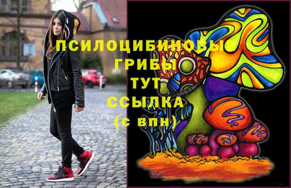 apvp Верея