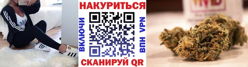 как найти закладки  Ачхой-Мартан  МАРИХУАНА SATIVA & INDICA 